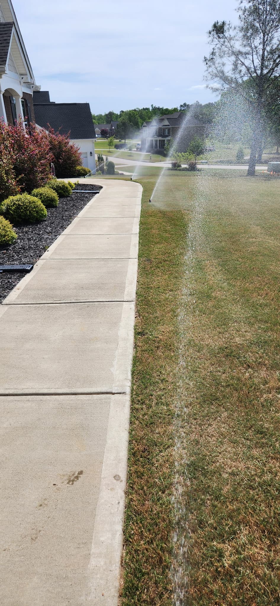 Vibrant Flower Gardens