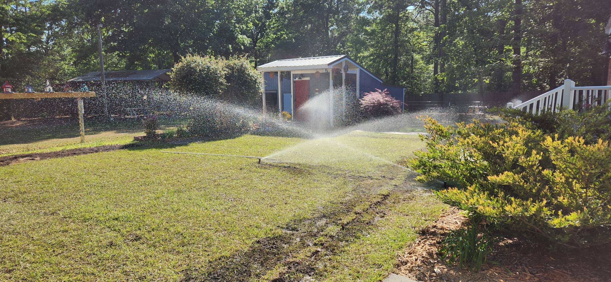 Cinematic Irrigation